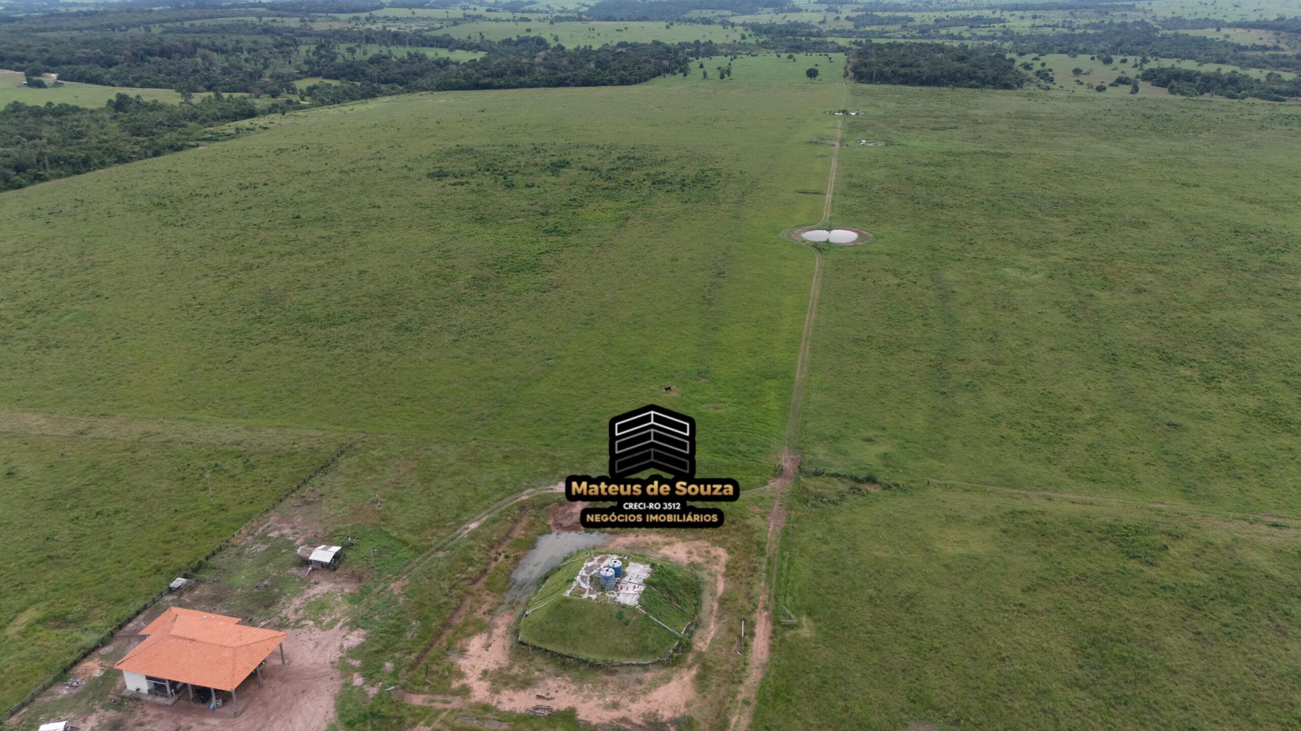 WhatsApp Image 2026-02-21 at 20.14.48