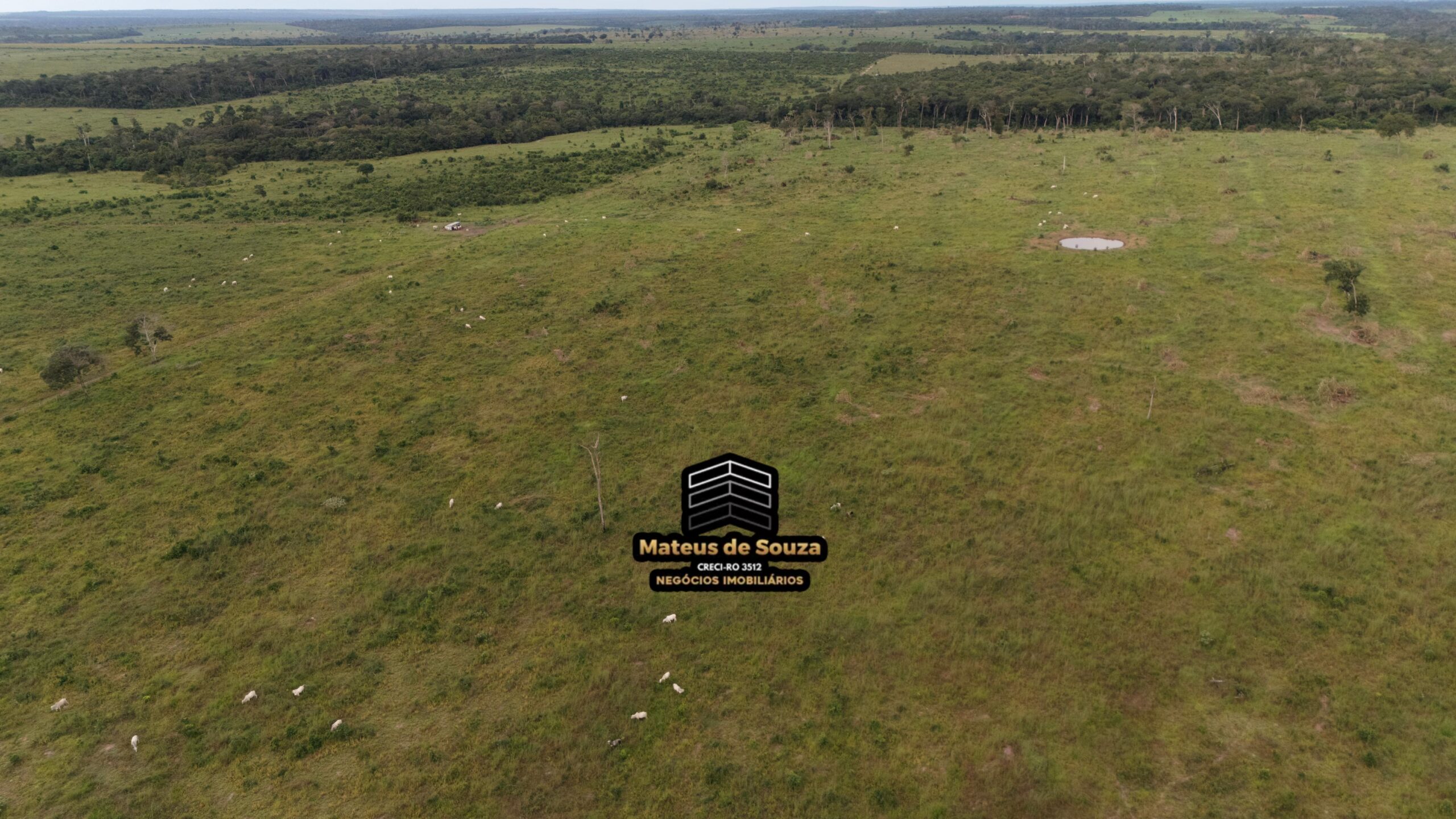 WhatsApp Image 2026-02-21 at 20.14.49 (1)