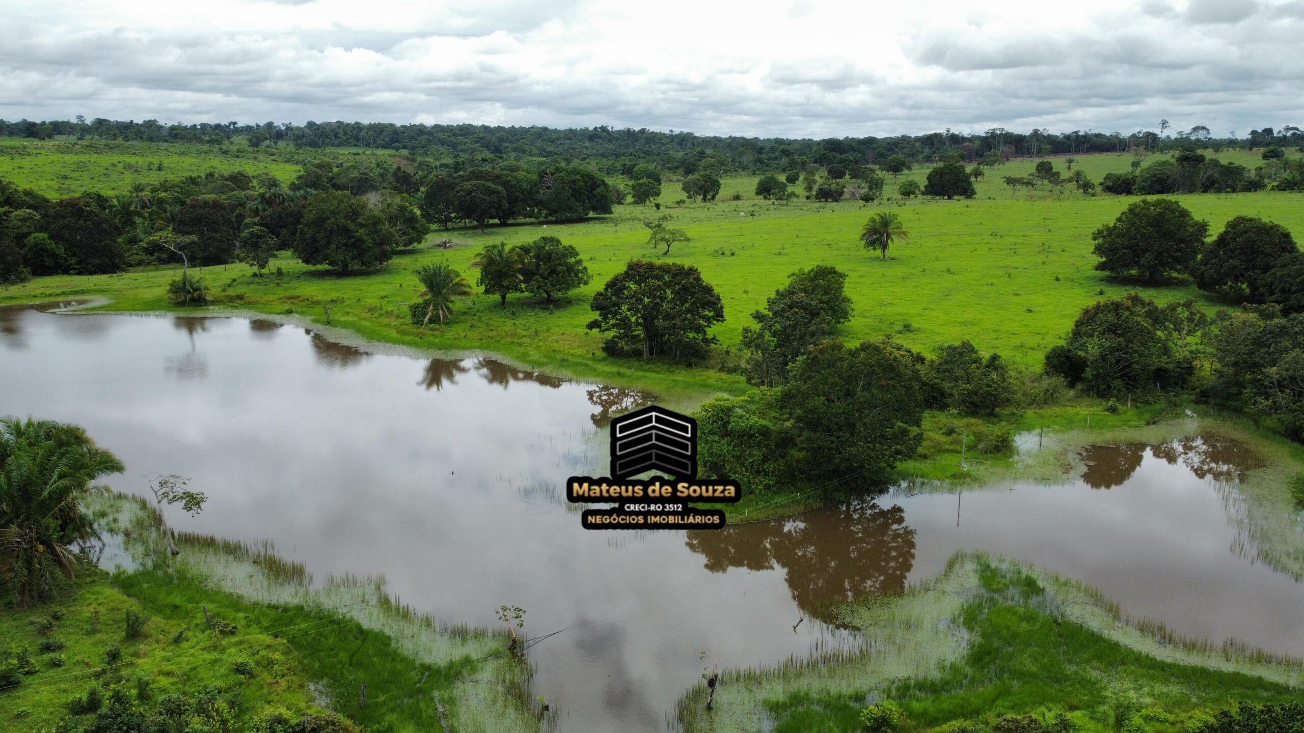 WhatsApp Image 2026-02-21 at 20.15.32