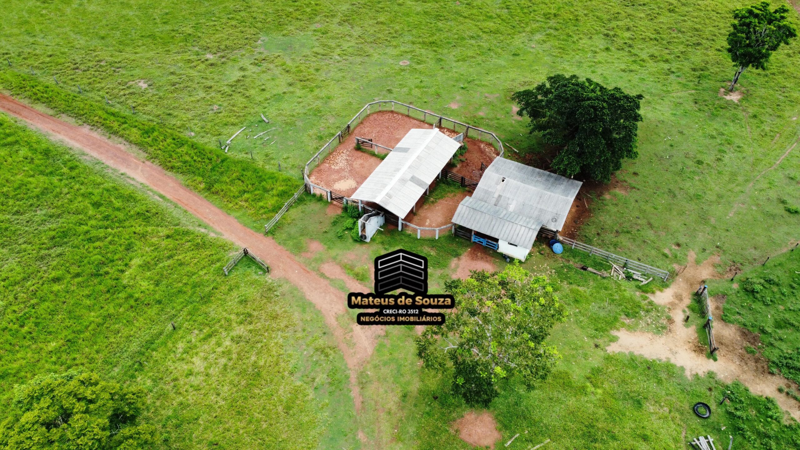 WhatsApp Image 2026-02-21 at 20.15.34