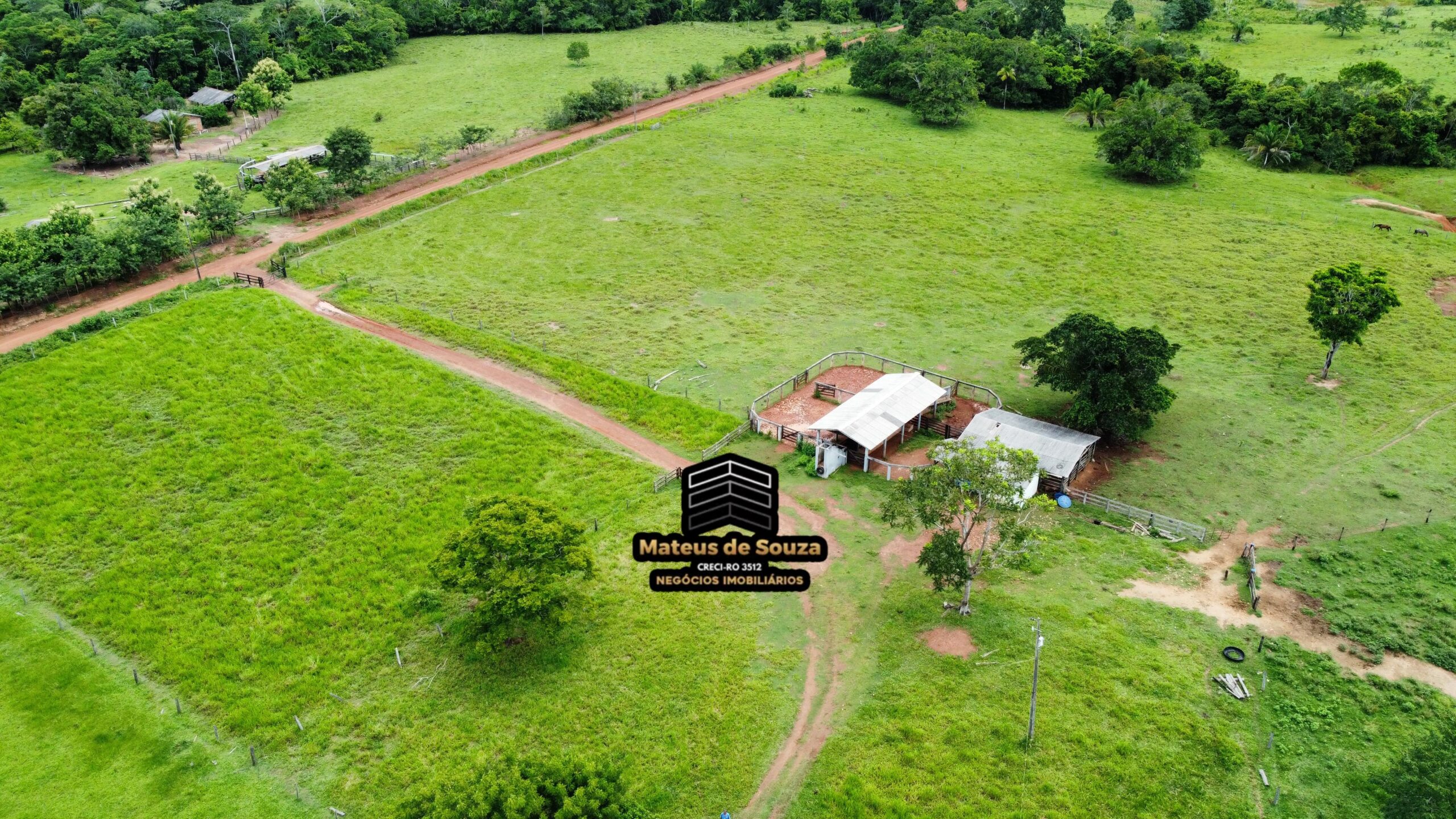 WhatsApp Image 2026-02-21 at 20.15.52