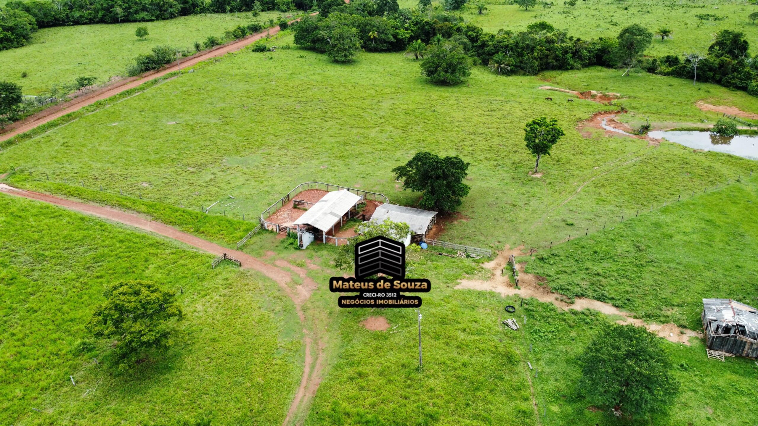 WhatsApp Image 2026-02-21 at 20.15.54 (1)