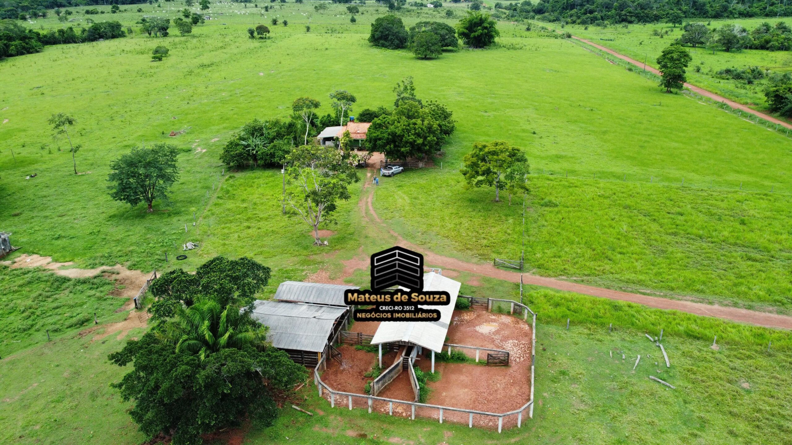 WhatsApp Image 2026-02-21 at 20.15.54