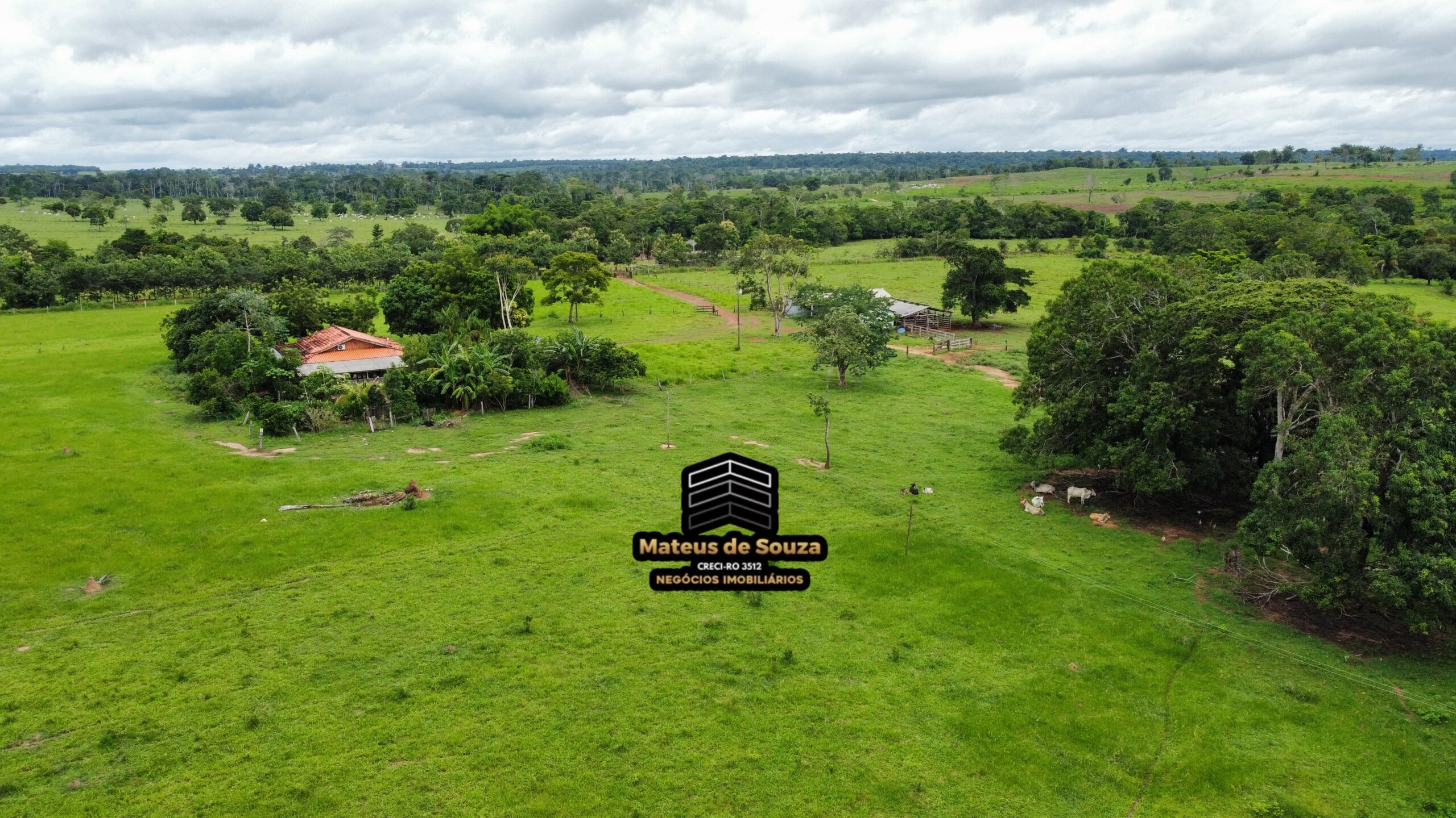 WhatsApp Image 2026-02-21 at 20.15.55 (1)