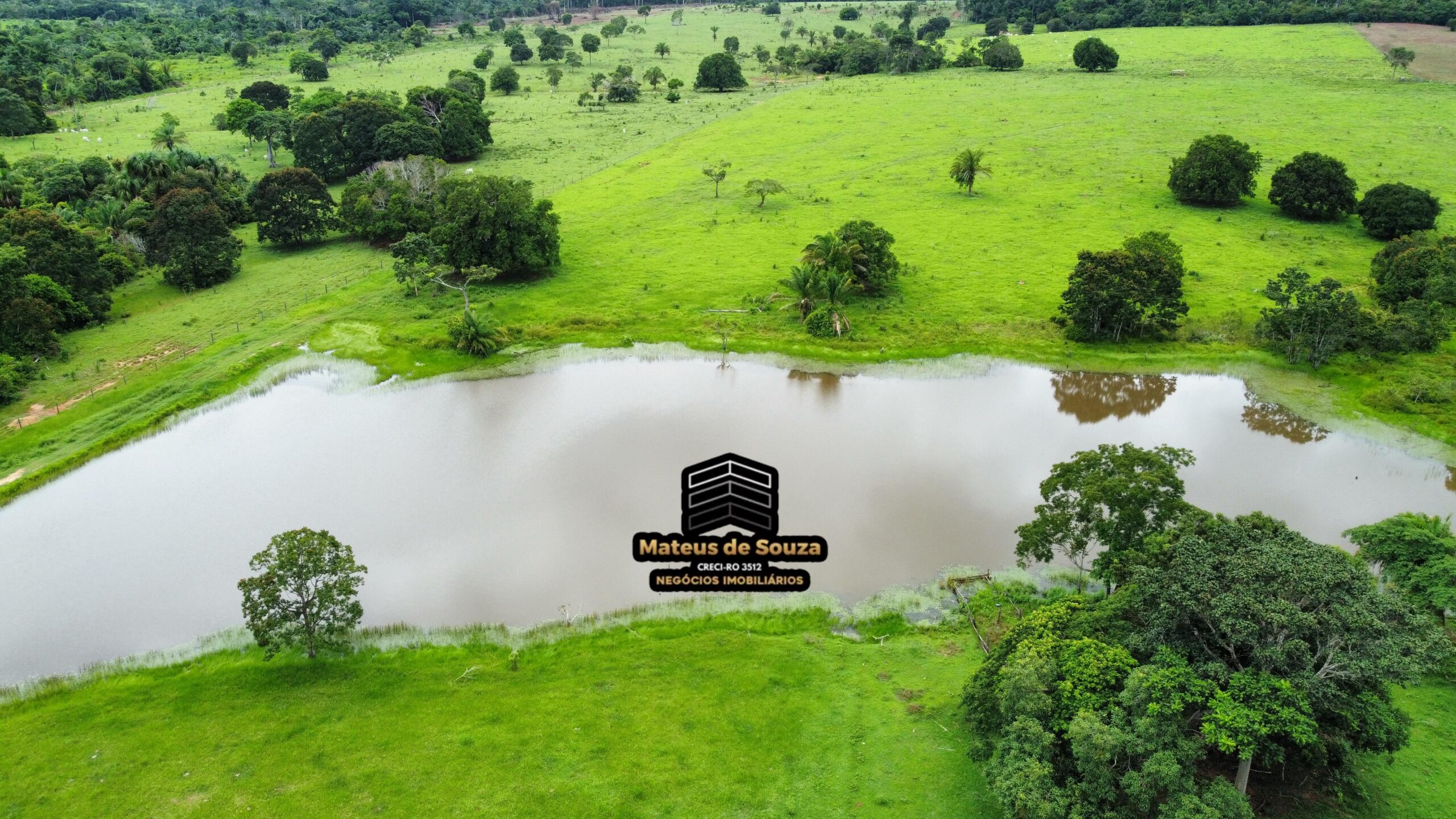 WhatsApp Image 2026-02-21 at 20.15.55