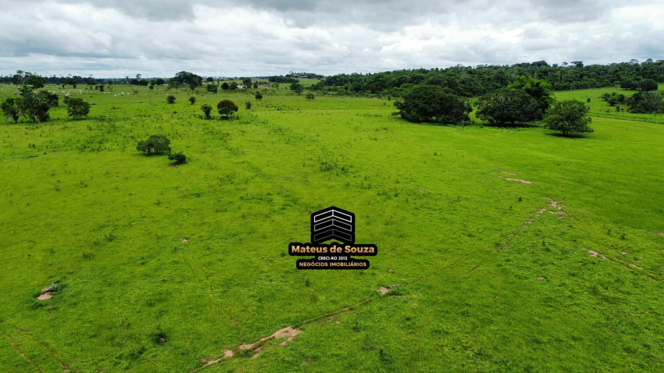 WhatsApp Image 2026-02-21 at 20.15.56 (1)