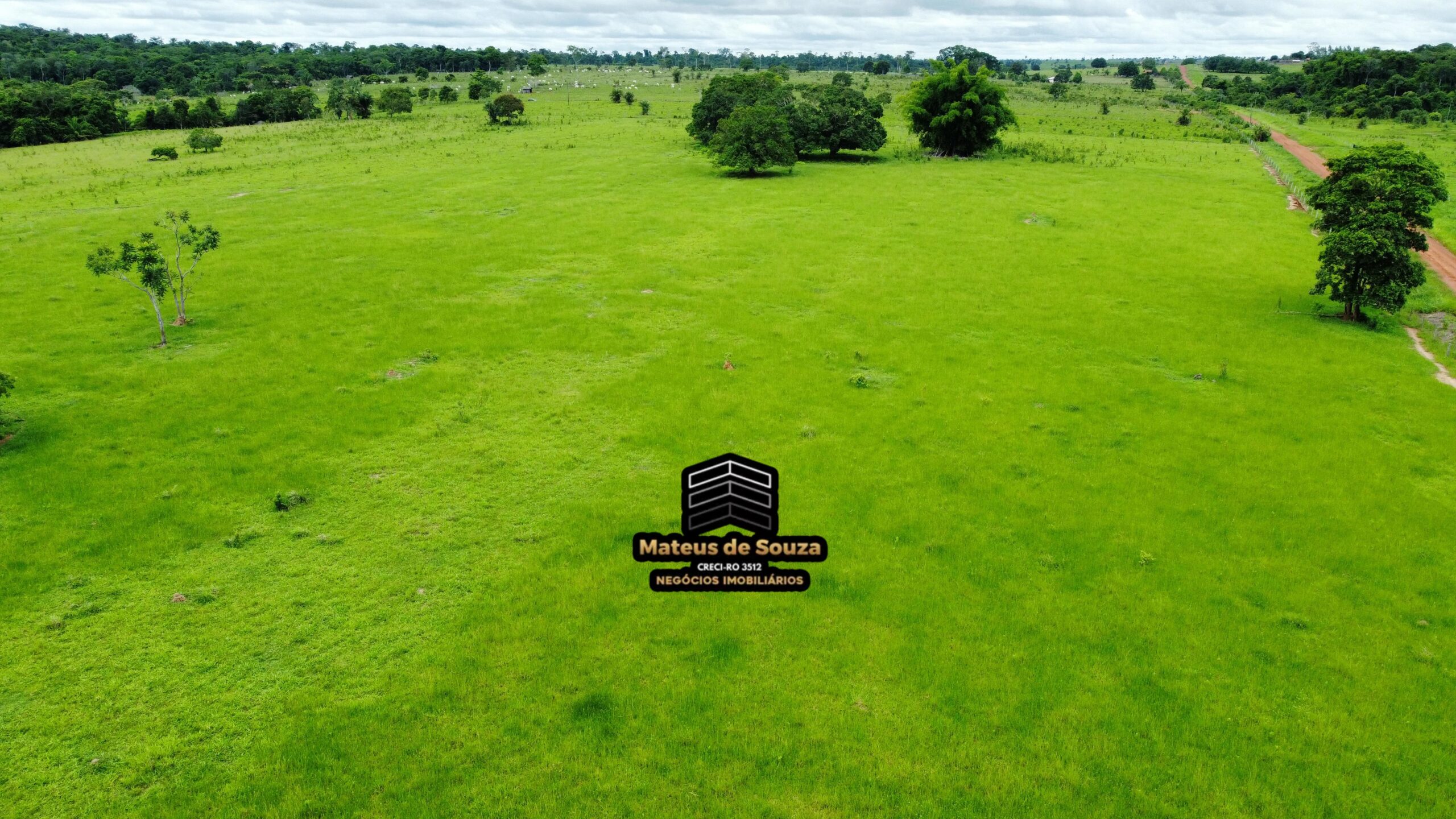 WhatsApp Image 2026-02-21 at 20.15.56 (3)