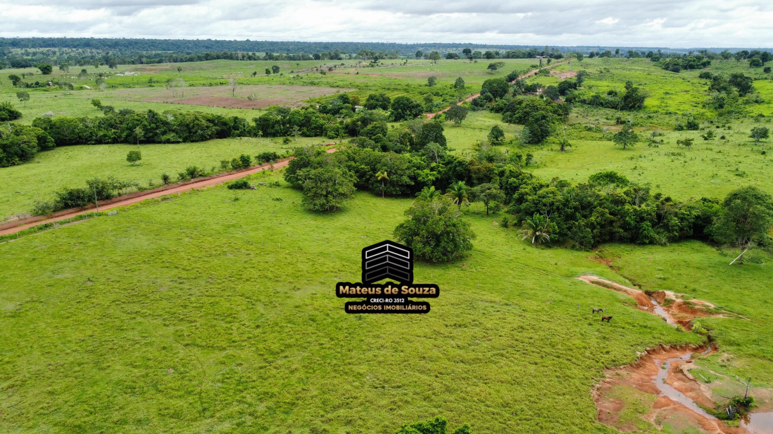 WhatsApp Image 2026-02-21 at 20.15.56