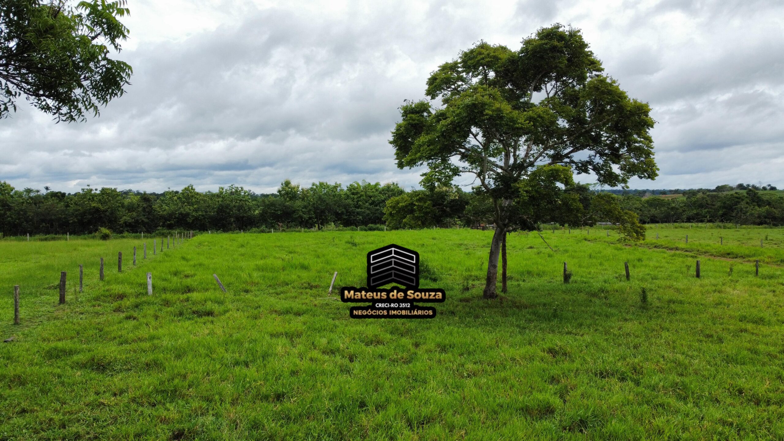 WhatsApp Image 2026-02-21 at 20.15.57 (1)