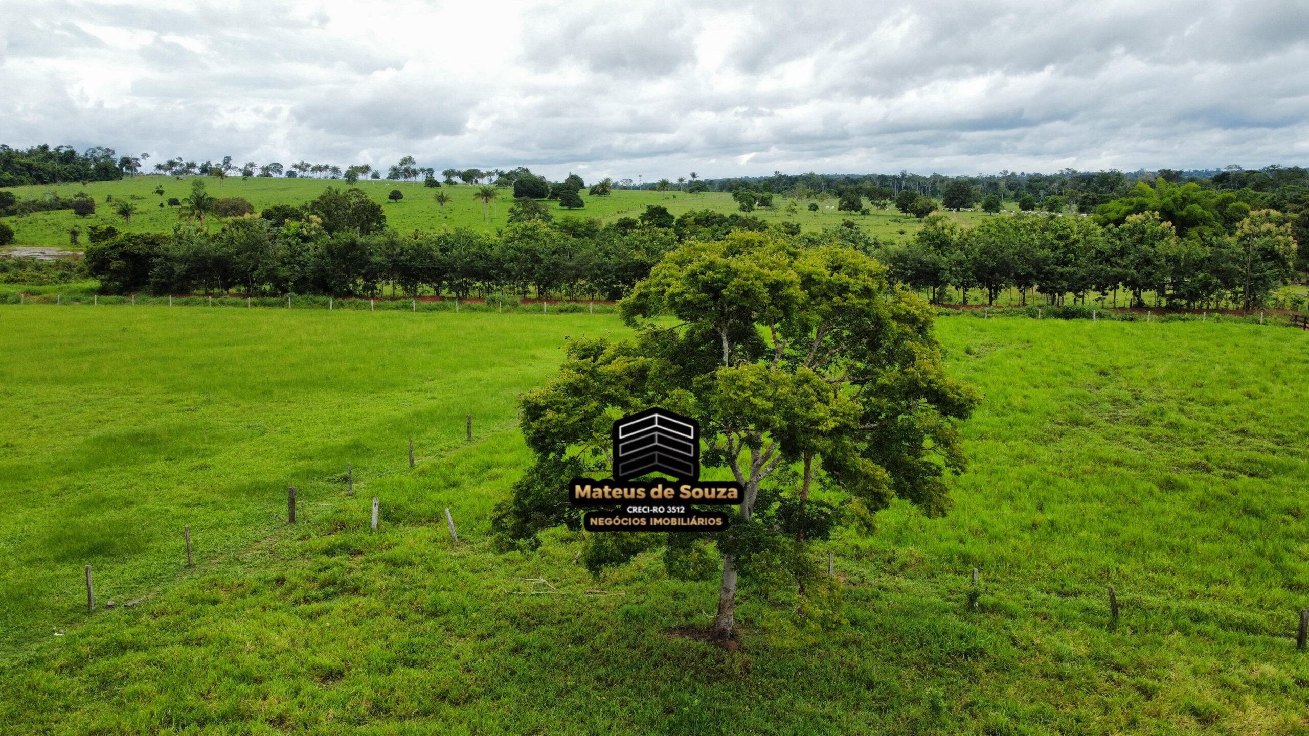 WhatsApp Image 2026-02-21 at 20.15.57