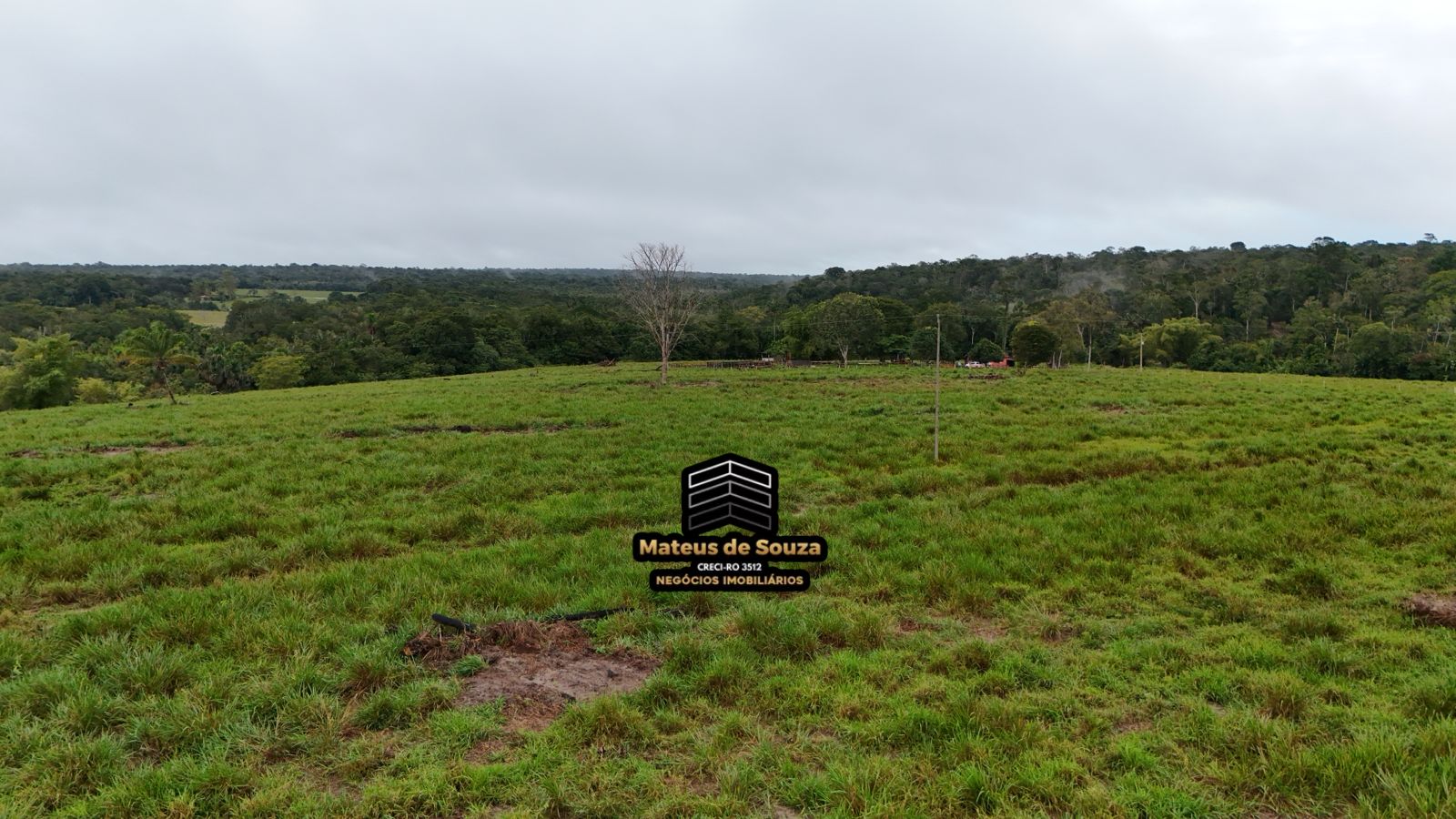 WhatsApp Image 2026-02-21 at 20.16.20