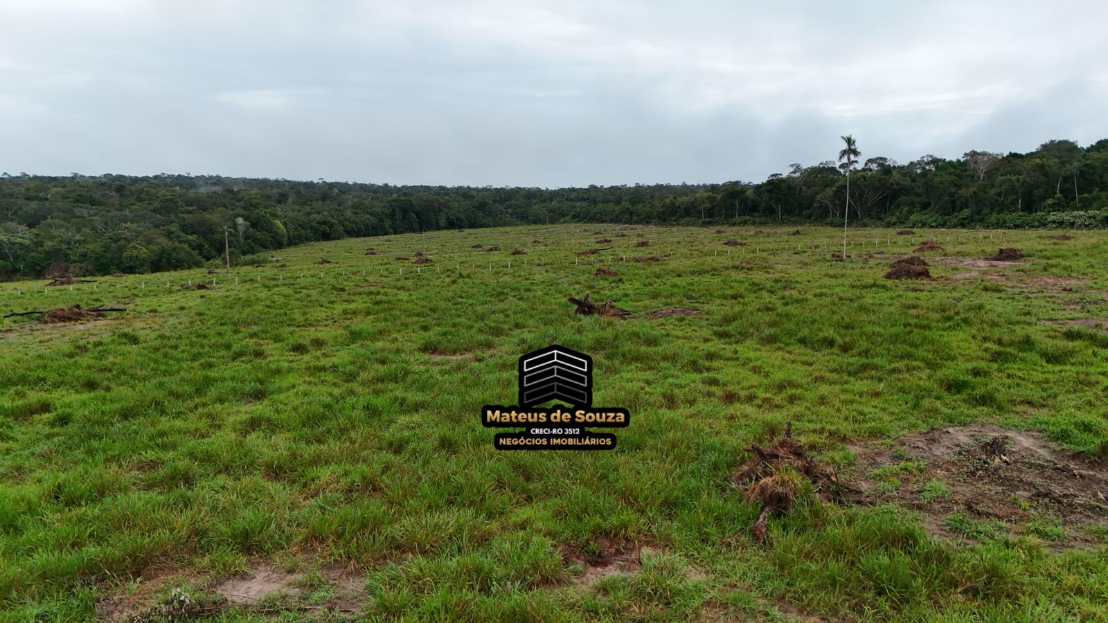 WhatsApp Image 2026-02-21 at 20.16.21 (1)