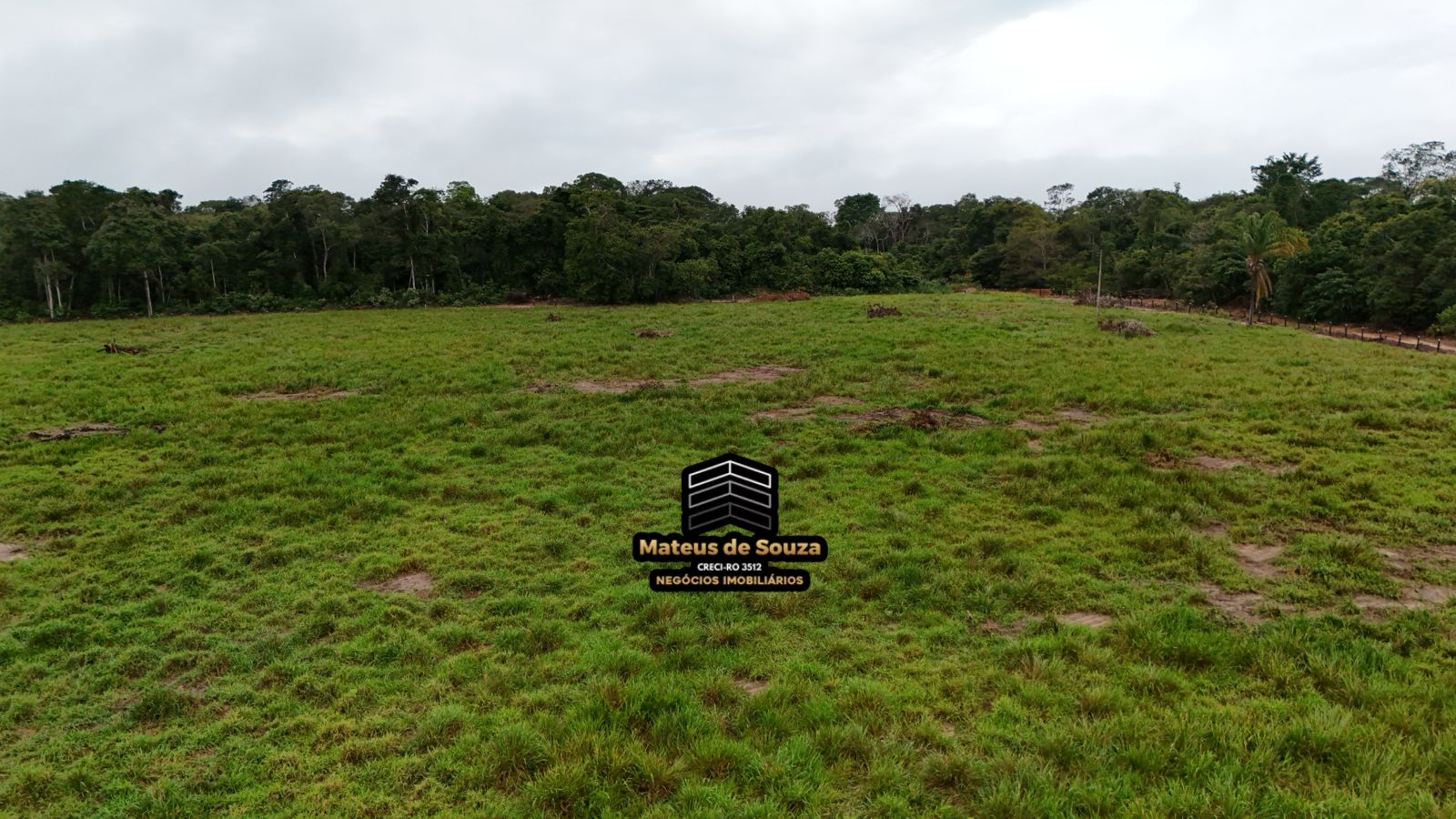 WhatsApp Image 2026-02-21 at 20.16.21 (2)