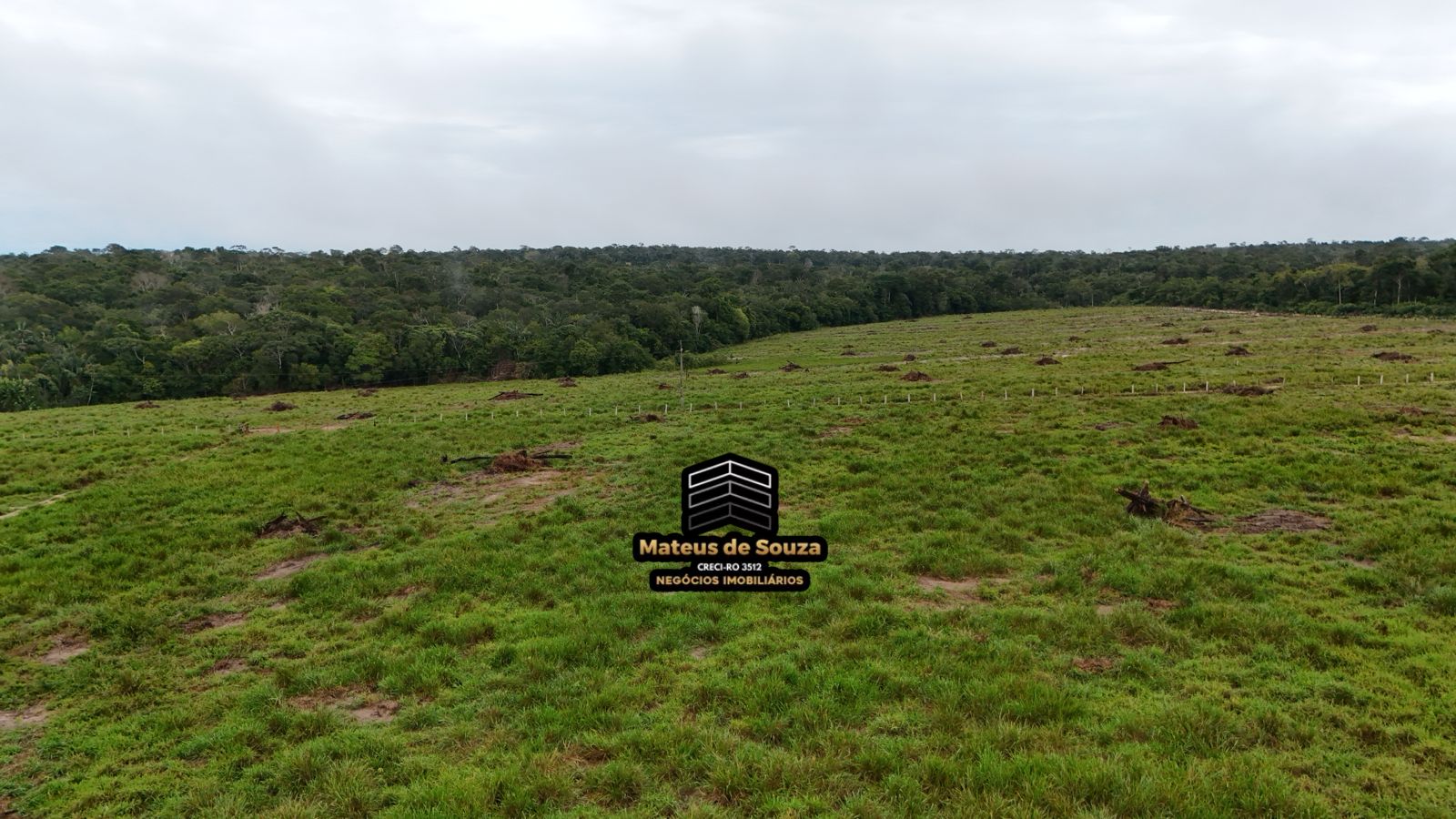 WhatsApp Image 2026-02-21 at 20.16.21