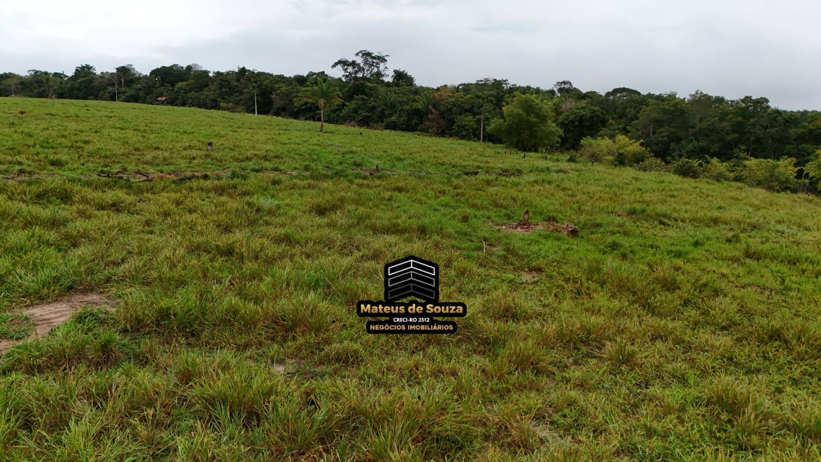 WhatsApp Image 2026-02-21 at 20.16.22 (1)