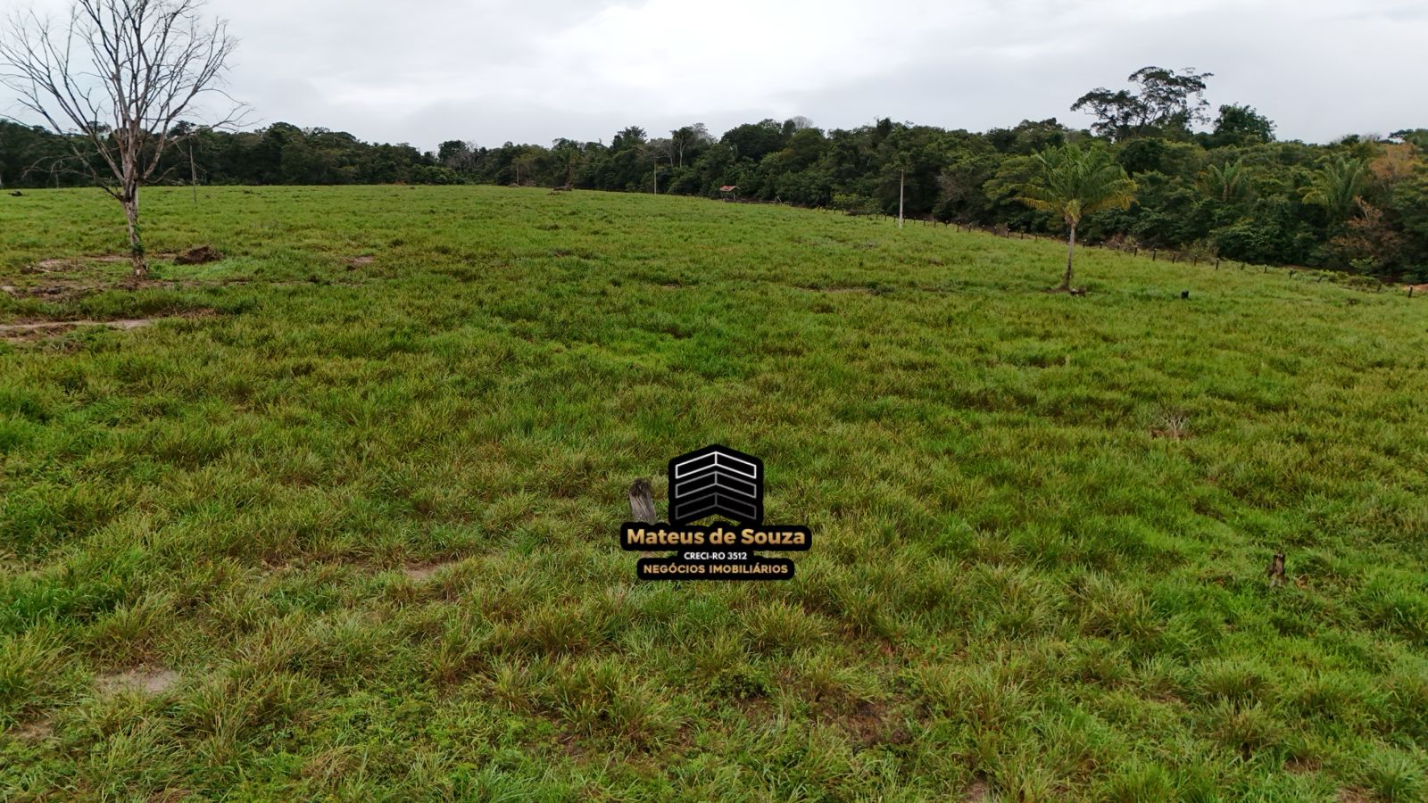 WhatsApp Image 2026-02-21 at 20.16.22 (2)