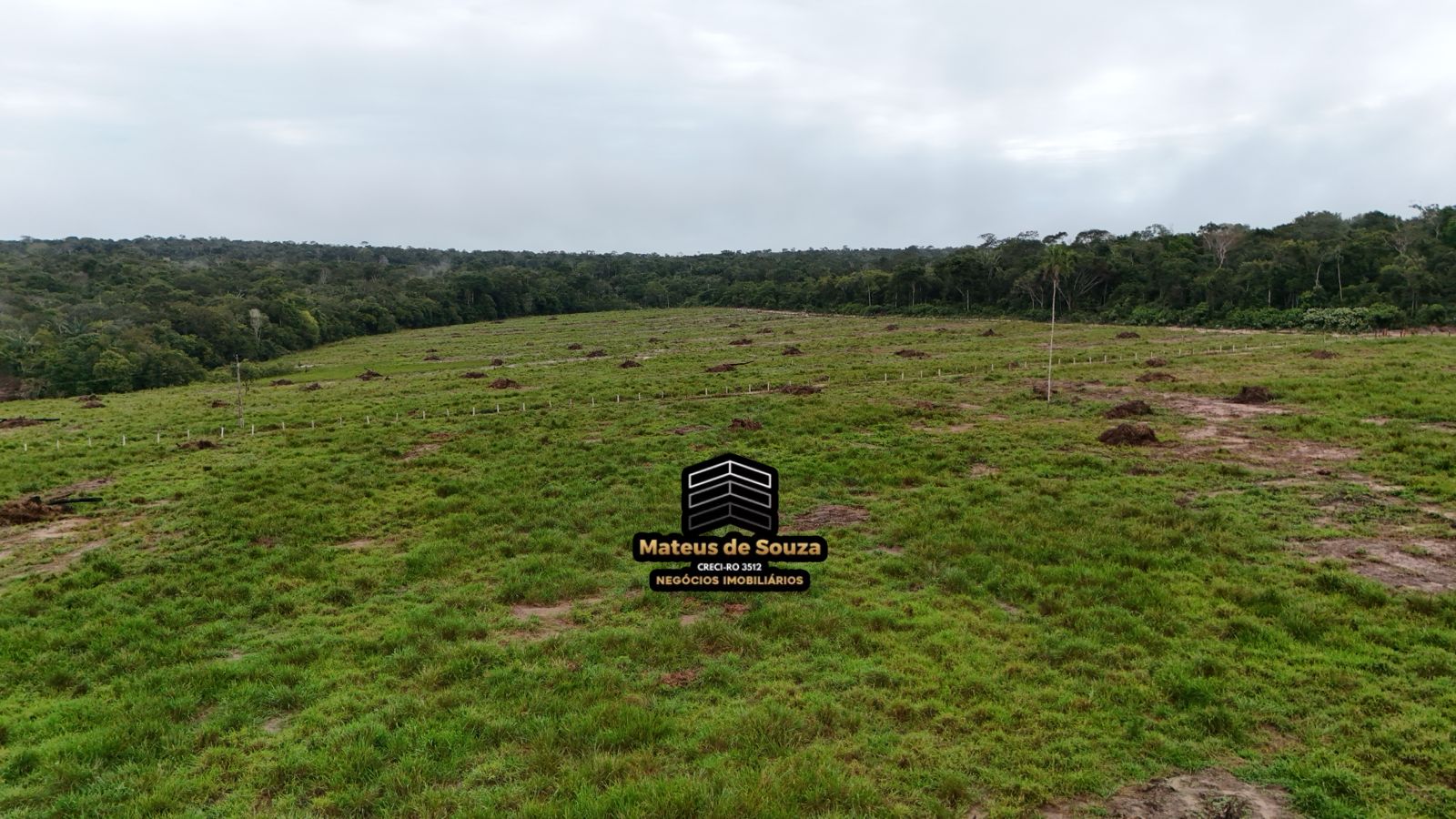 WhatsApp Image 2026-02-21 at 20.16.22