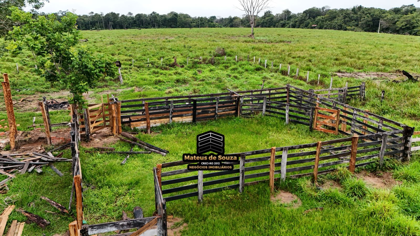 WhatsApp Image 2026-02-21 at 20.16.23 (1)