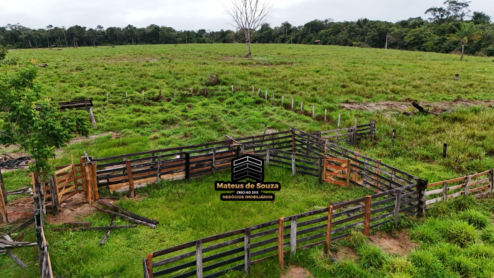 WhatsApp Image 2026-02-21 at 20.16.23 (2)