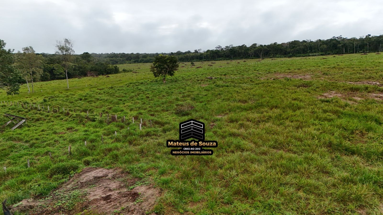 WhatsApp Image 2026-02-21 at 20.16.23