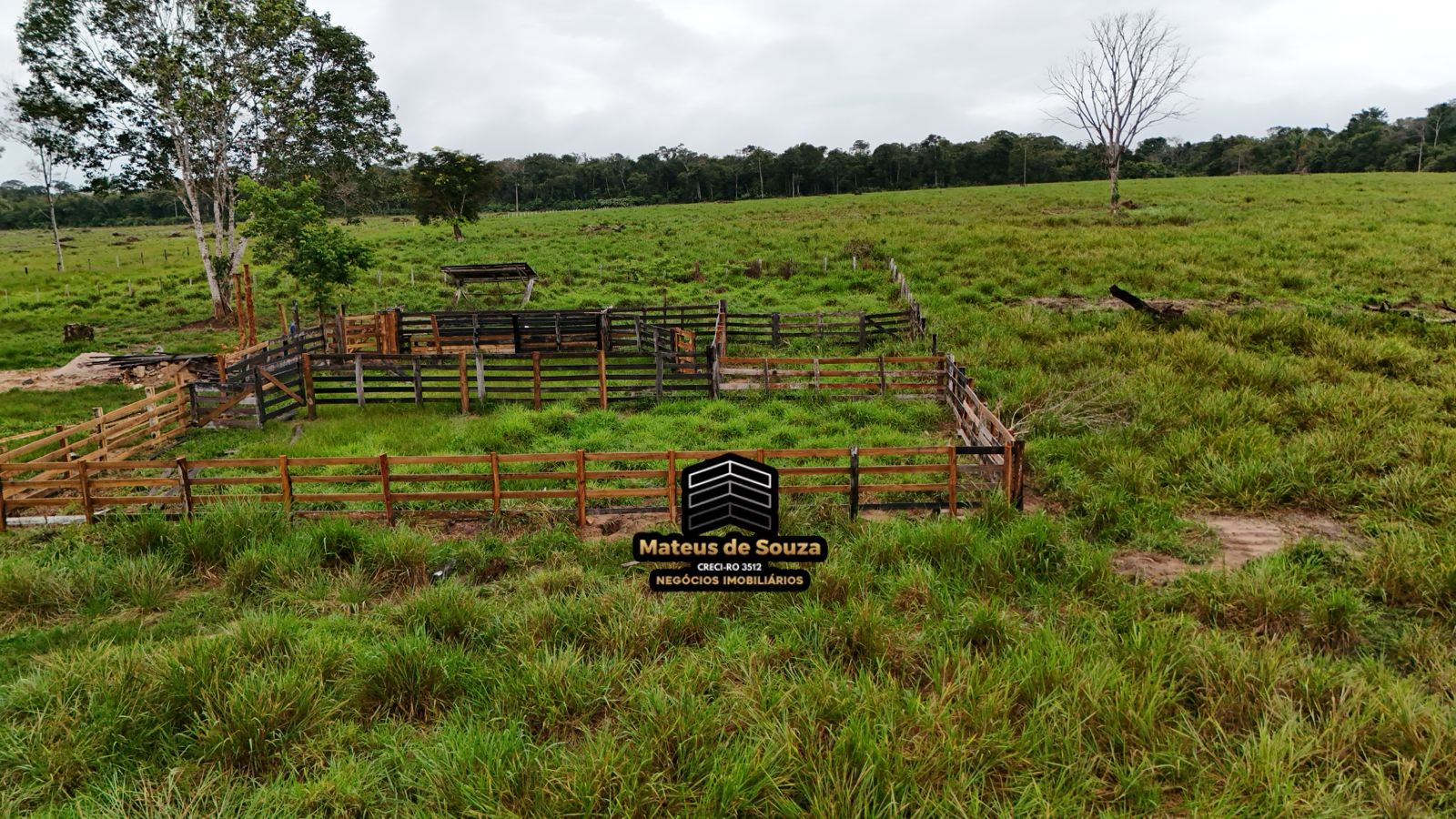 WhatsApp Image 2026-02-21 at 20.16.24 (1)