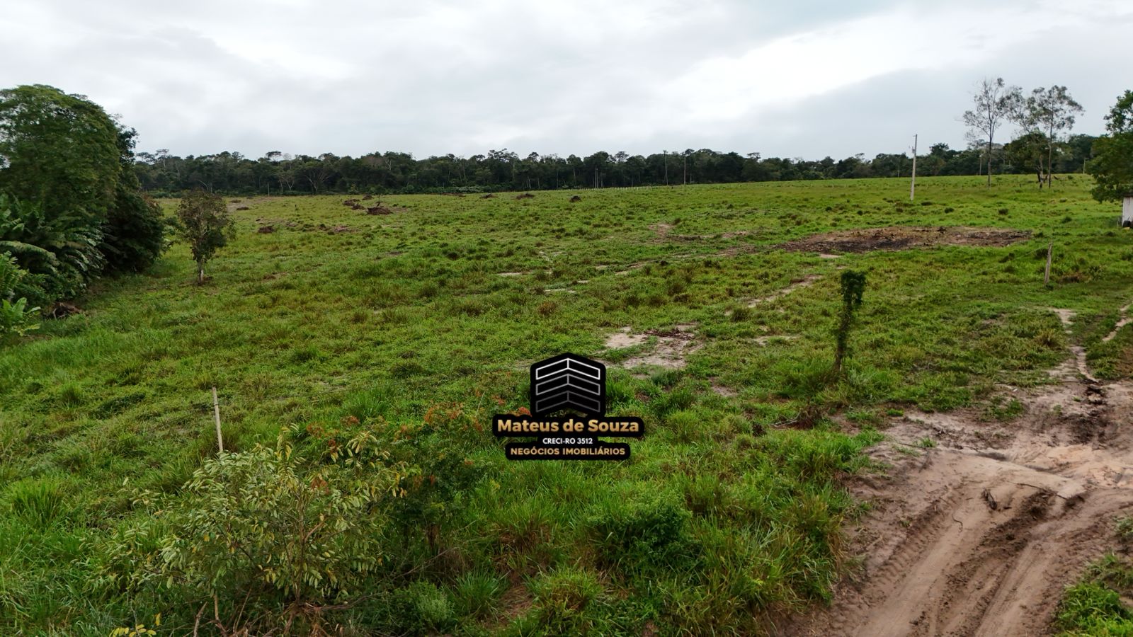 WhatsApp Image 2026-02-21 at 20.16.24 (2)