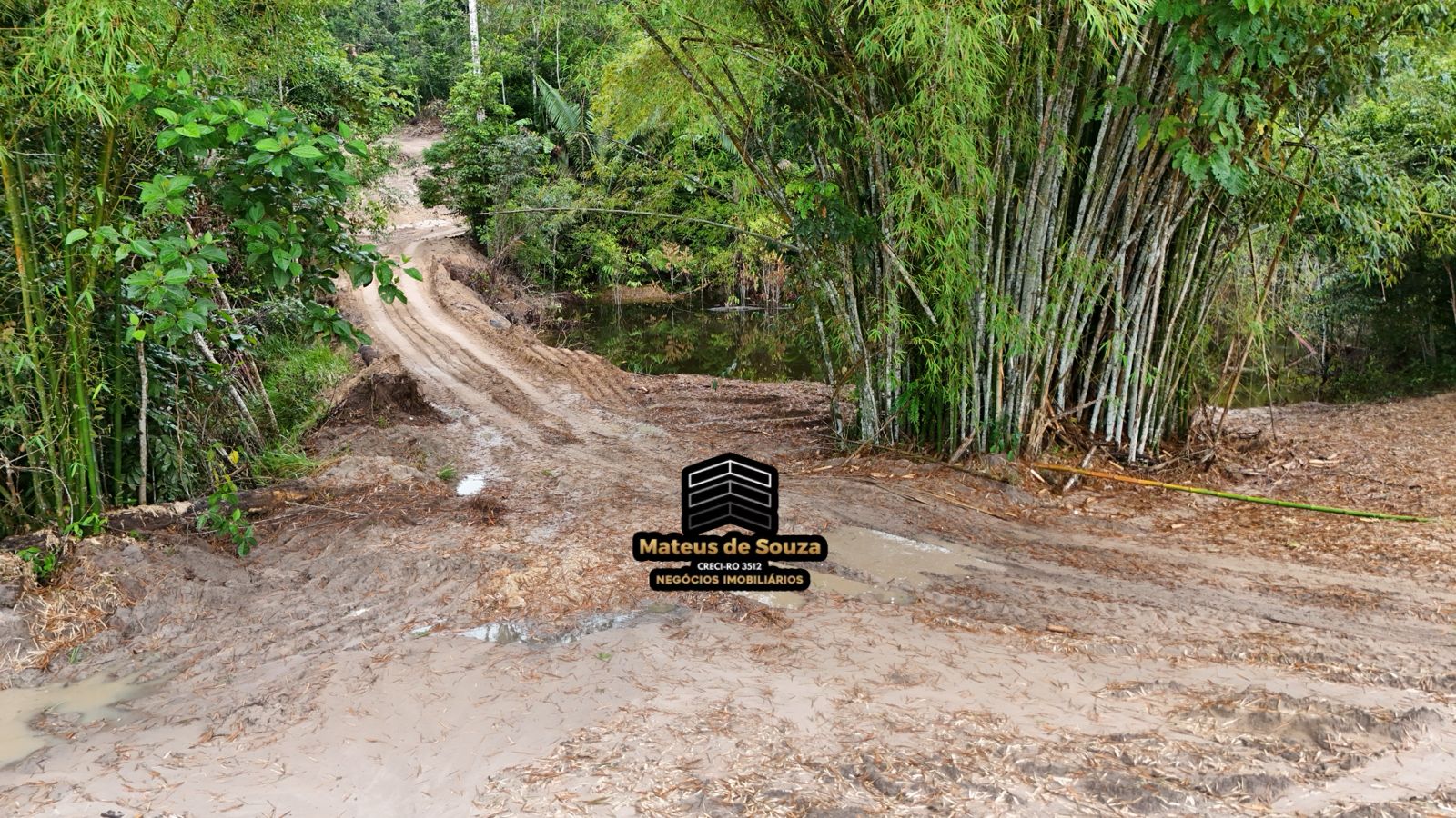 WhatsApp Image 2026-02-21 at 20.16.24 (3)