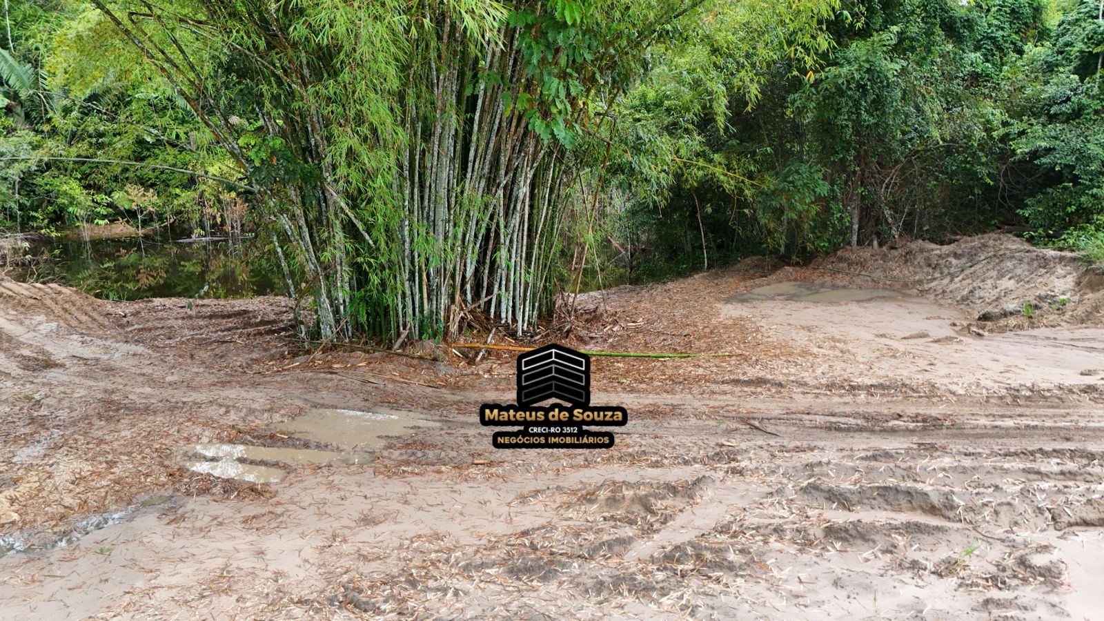 WhatsApp Image 2026-02-21 at 20.16.24