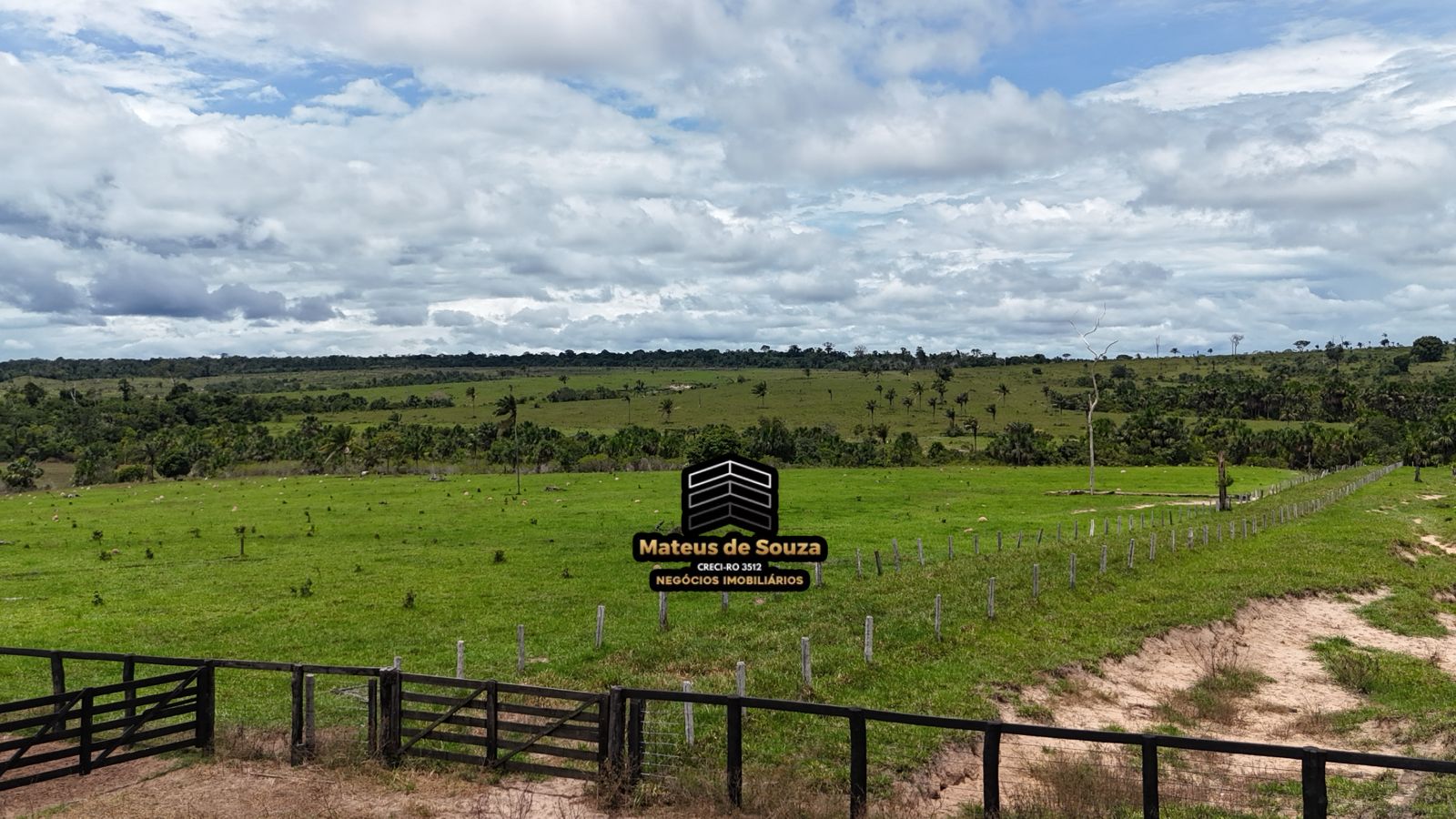 WhatsApp Image 2026-02-21 at 20.16.43 (1)