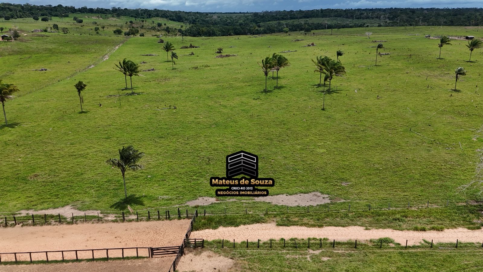 WhatsApp Image 2026-02-21 at 20.16.44 (1)