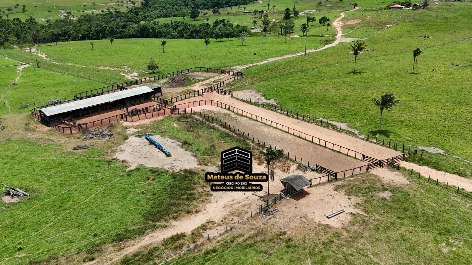 WhatsApp Image 2026-02-21 at 20.16.44