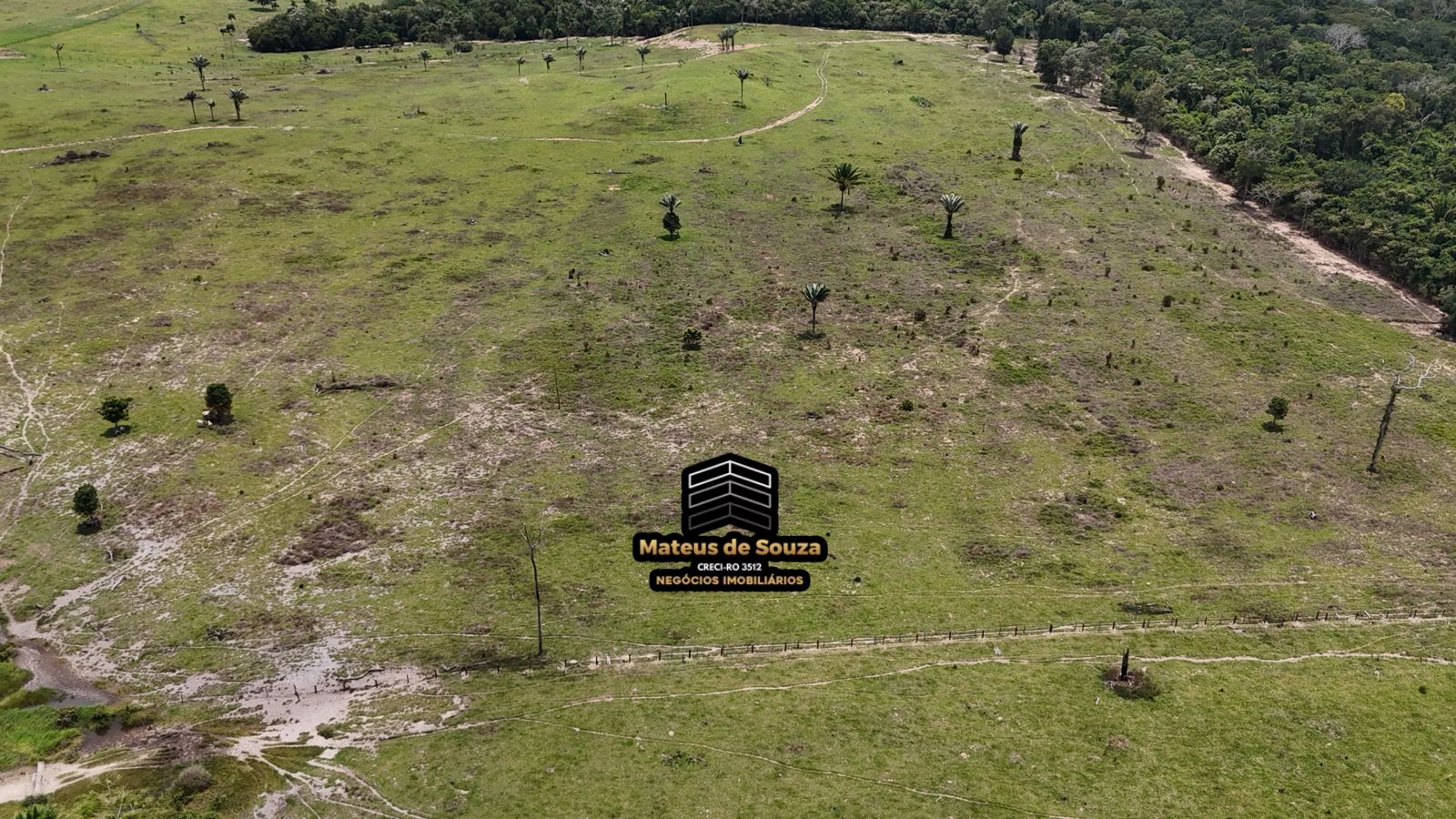 WhatsApp Image 2026-02-21 at 20.16.45 (1)