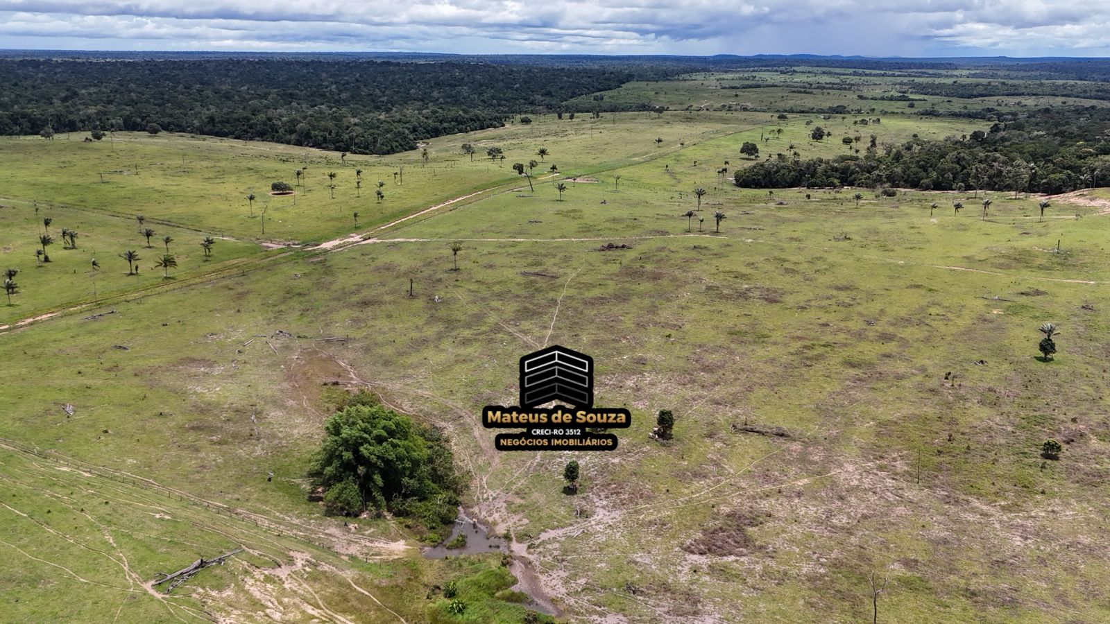 WhatsApp Image 2026-02-21 at 20.16.46