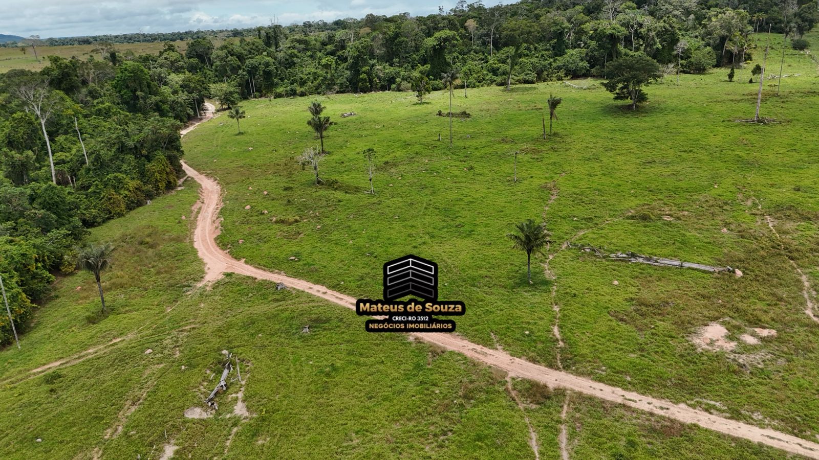 WhatsApp Image 2026-02-21 at 20.16.52 (1)