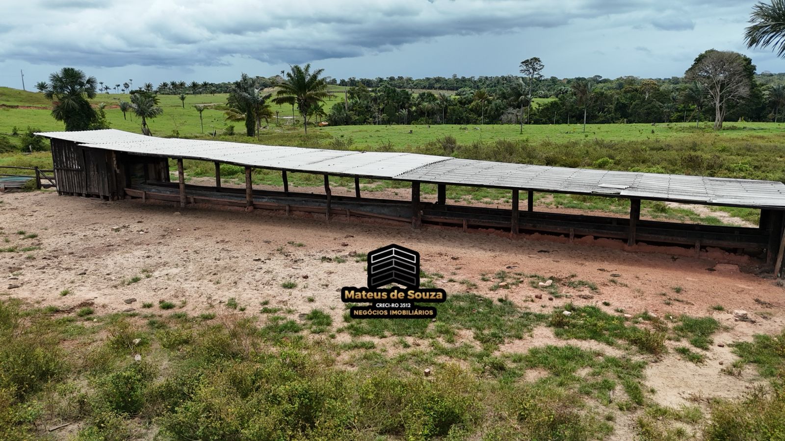 WhatsApp Image 2026-02-21 at 20.16.52