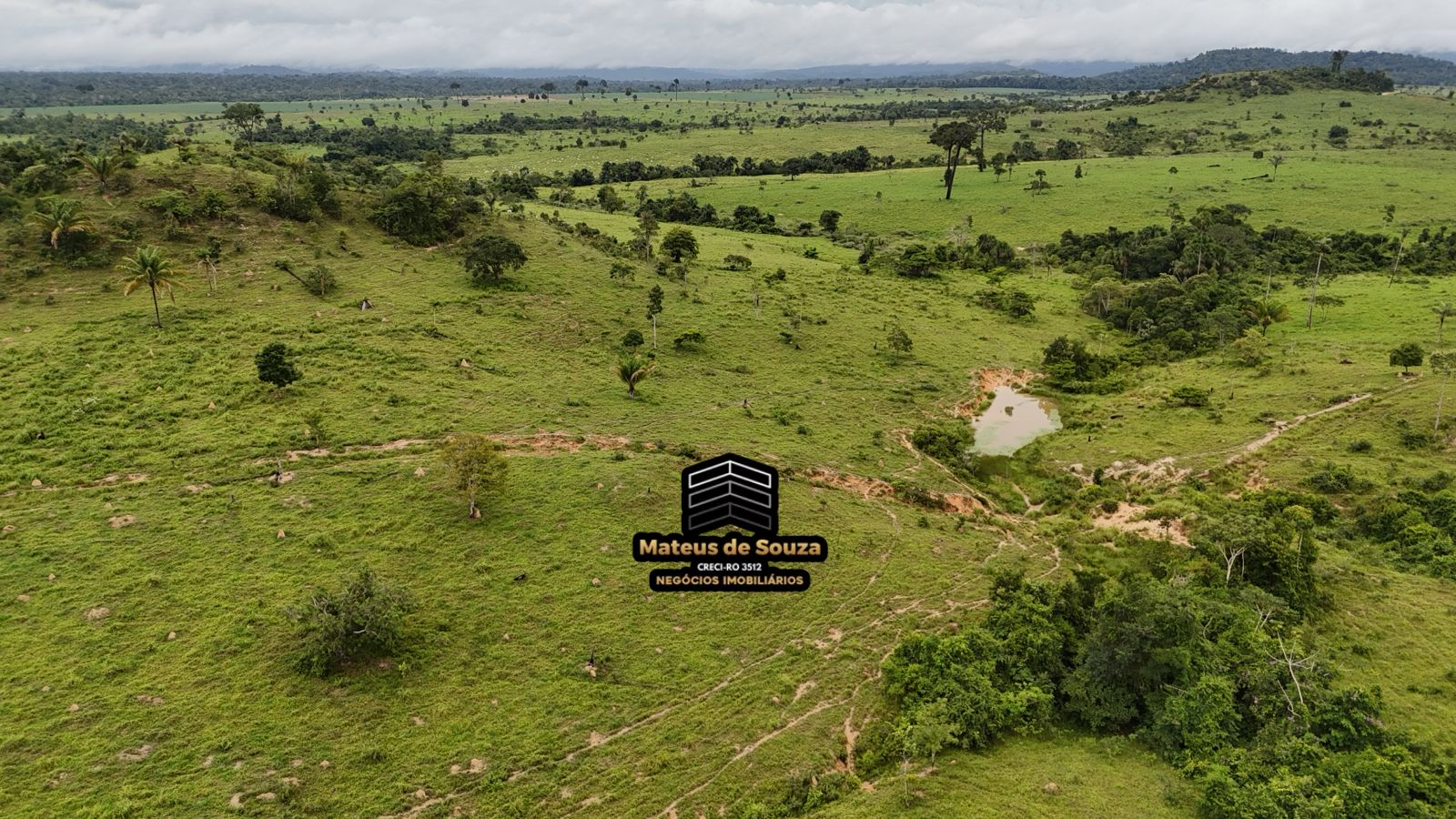 WhatsApp Image 2026-02-21 at 20.17.49