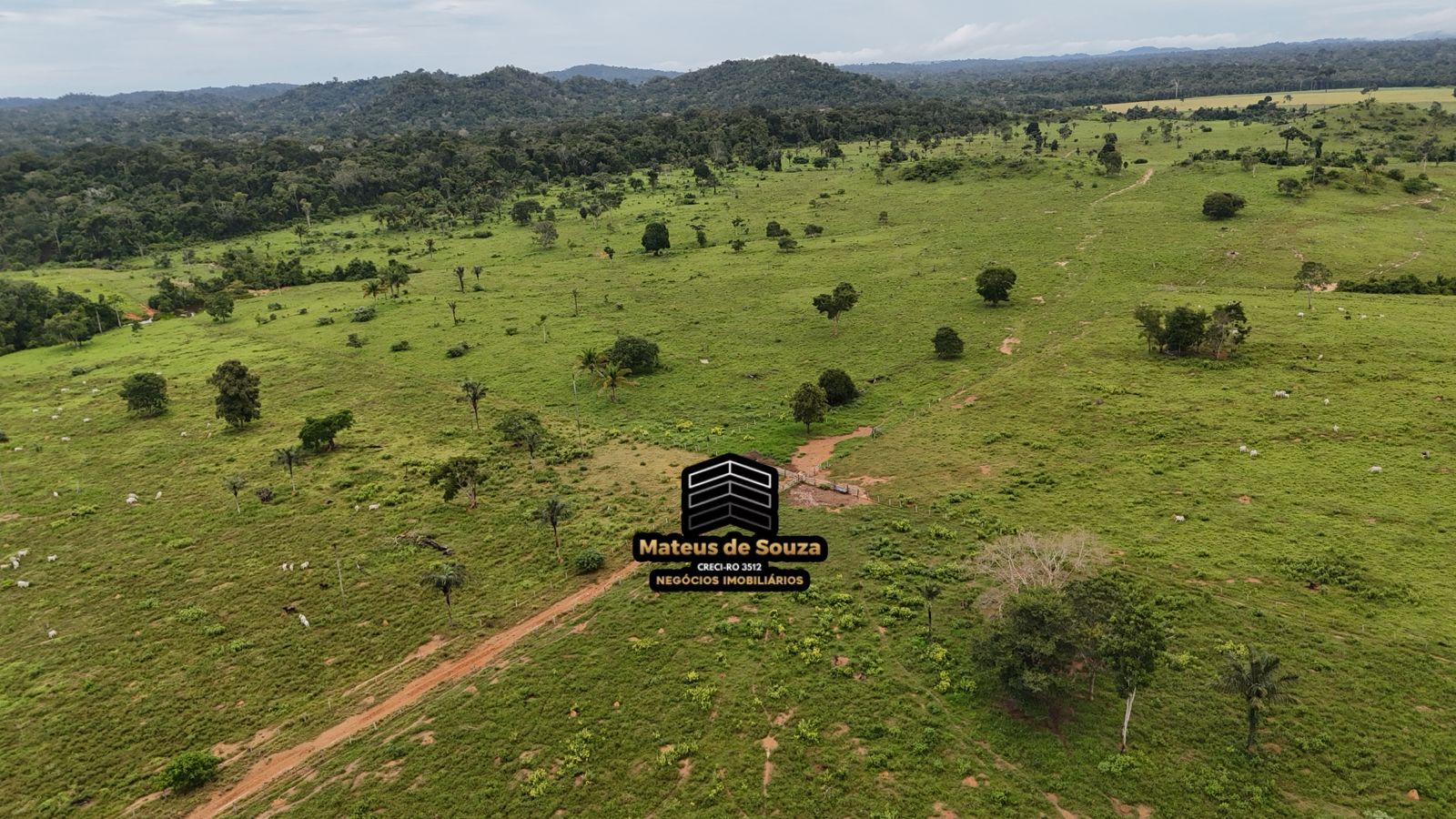 WhatsApp Image 2026-02-21 at 20.17.50 (1)