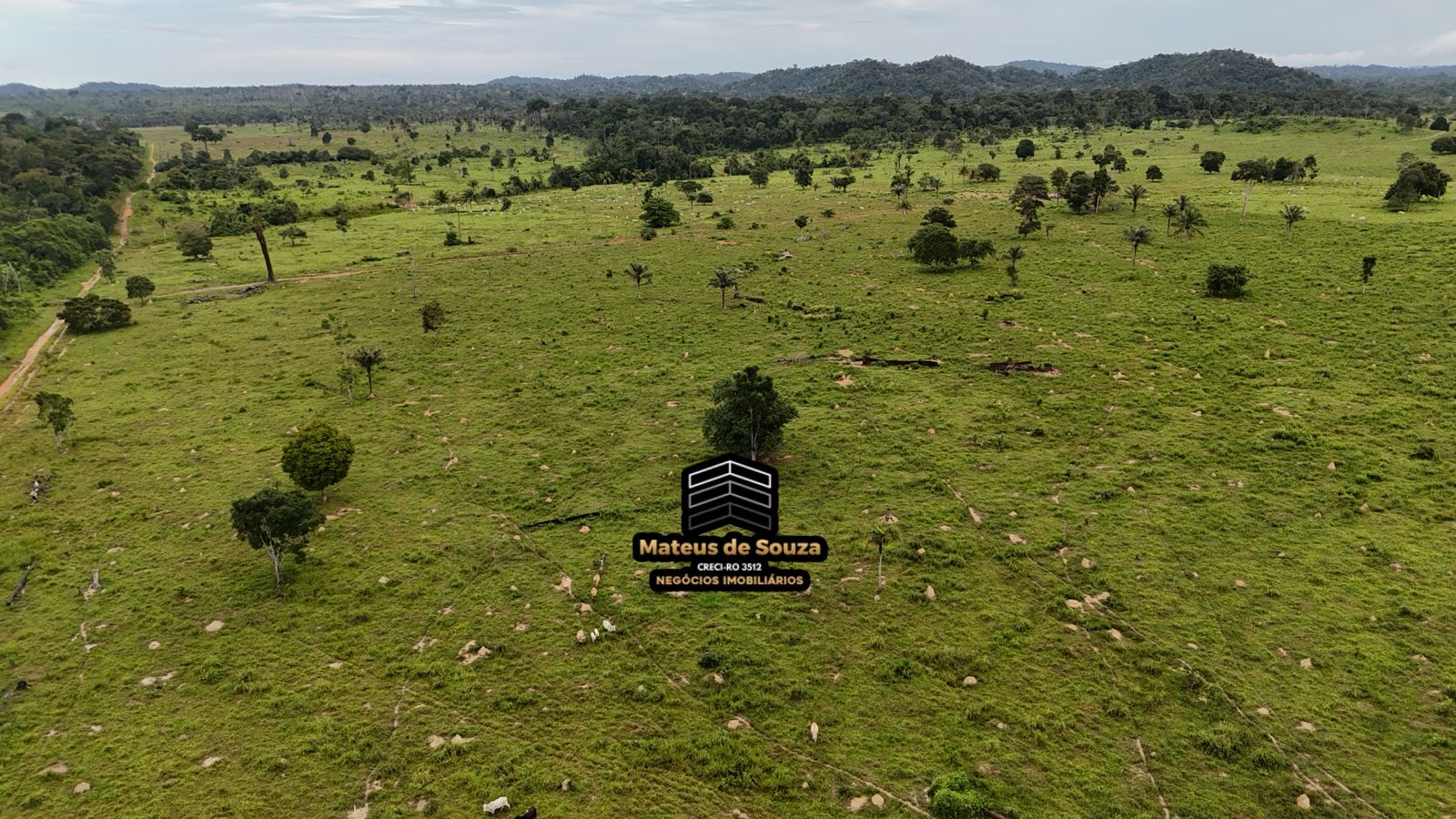 WhatsApp Image 2026-02-21 at 20.17.50