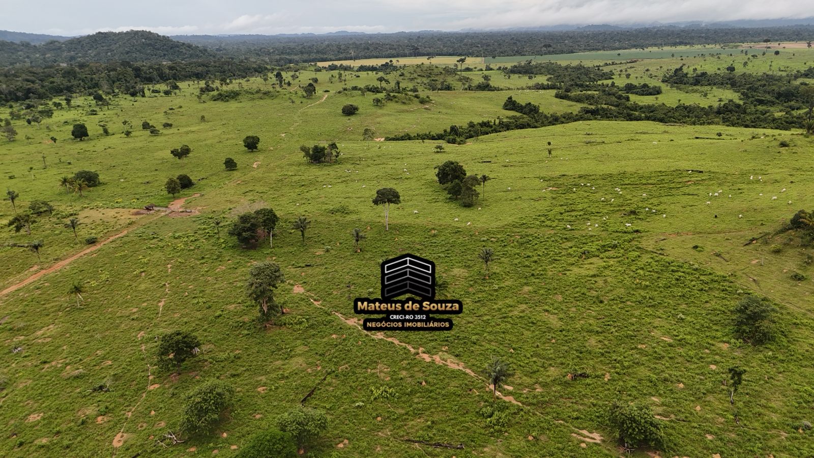 WhatsApp Image 2026-02-21 at 20.17.51 (1)