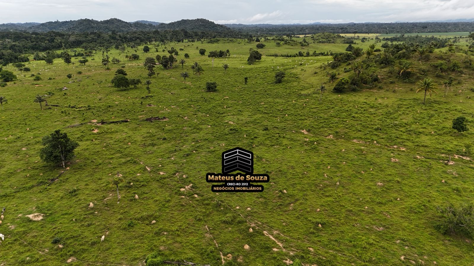 WhatsApp Image 2026-02-21 at 20.17.51