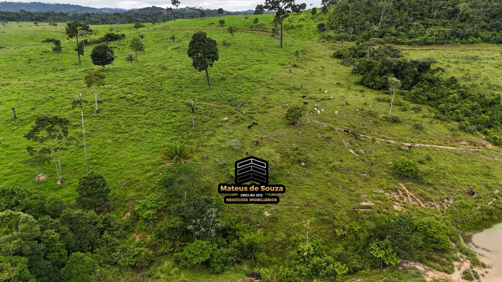 WhatsApp Image 2026-02-21 at 20.17.52 (1)