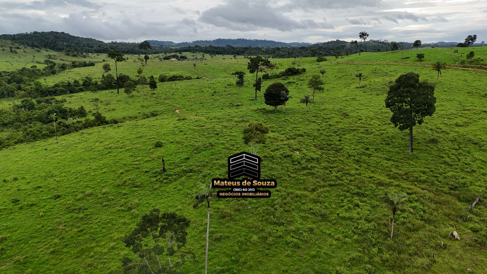 WhatsApp Image 2026-02-21 at 20.17.52 (2)