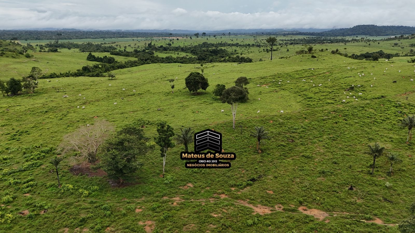 WhatsApp Image 2026-02-21 at 20.17.52