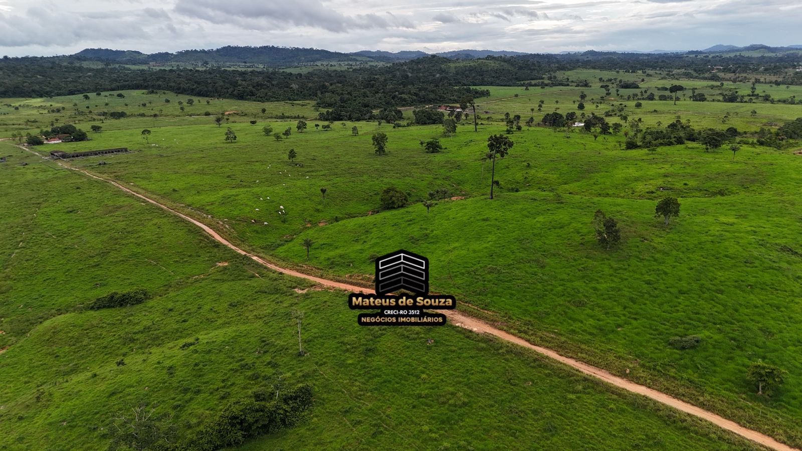 WhatsApp Image 2026-02-21 at 20.17.53 (1)