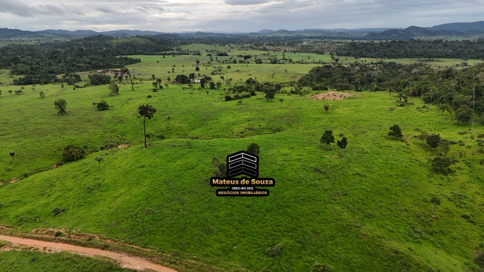 WhatsApp Image 2026-02-21 at 20.17.53