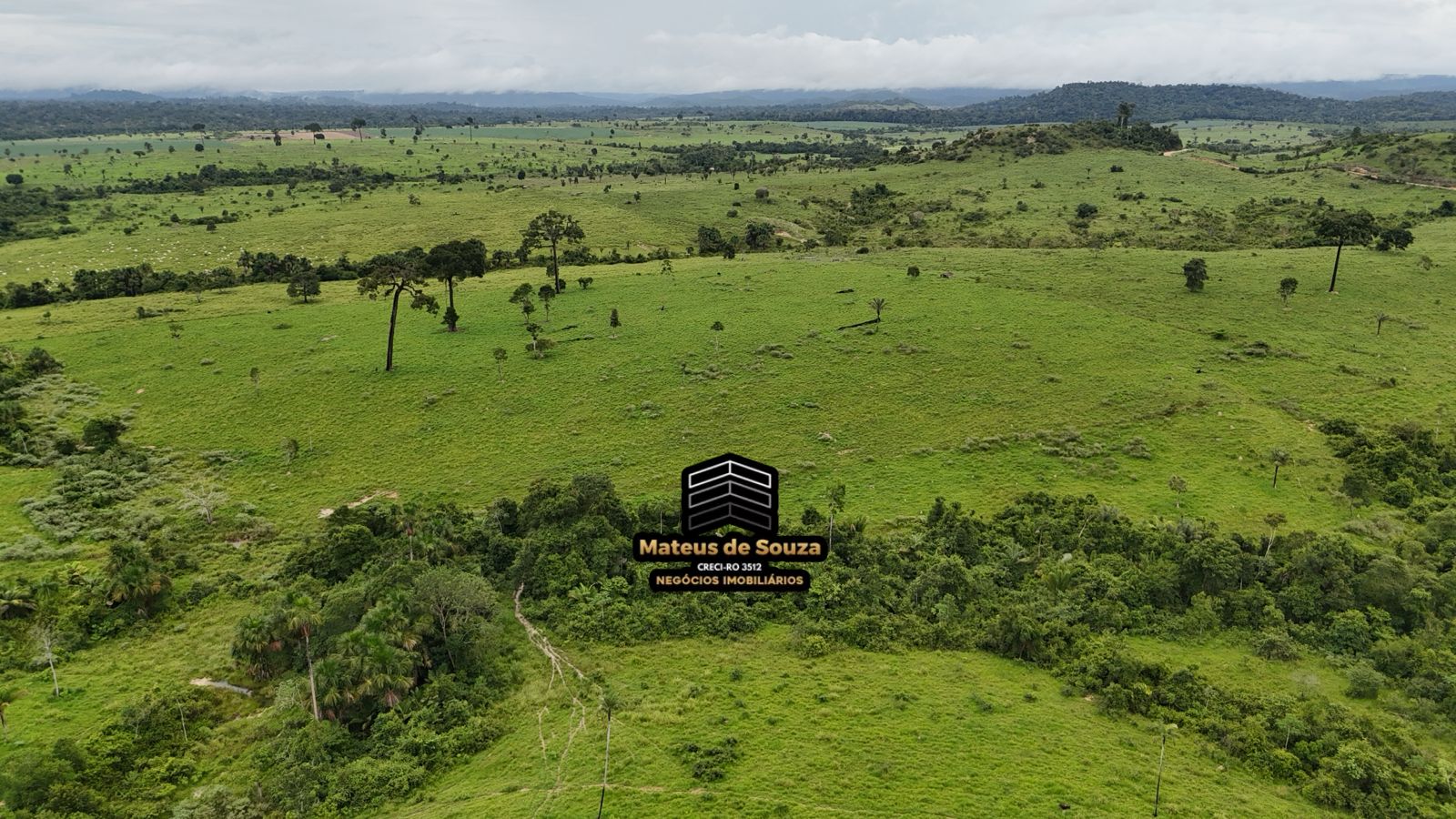 WhatsApp Image 2026-02-21 at 20.18.10 (1)