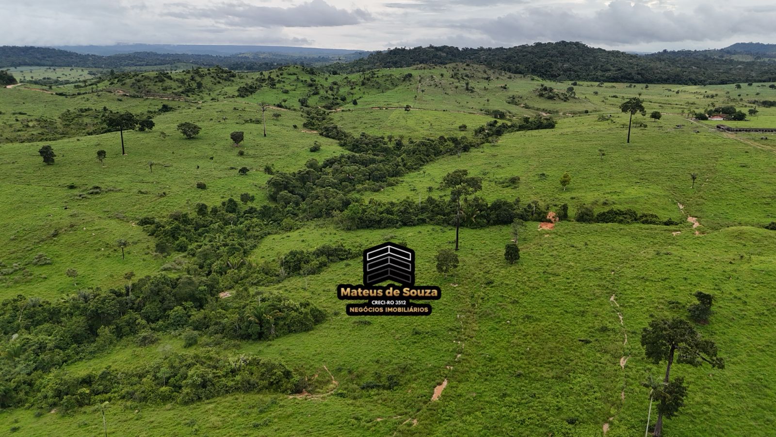 WhatsApp Image 2026-02-21 at 20.18.10