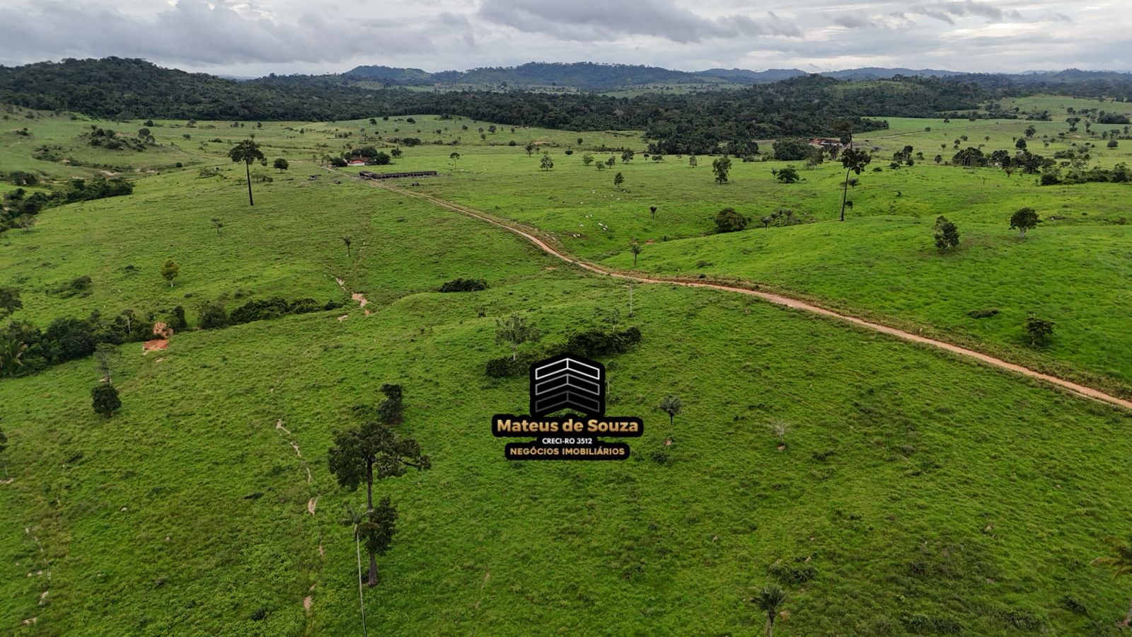 WhatsApp Image 2026-02-21 at 20.18.11