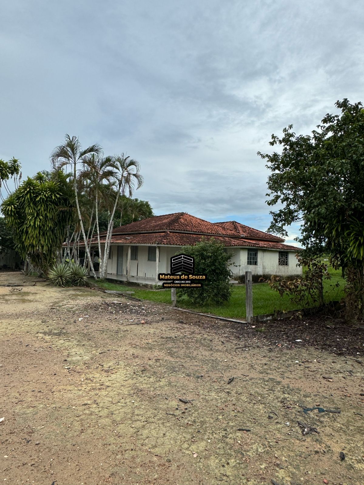 WhatsApp Image 2026-02-21 at 20.18.12