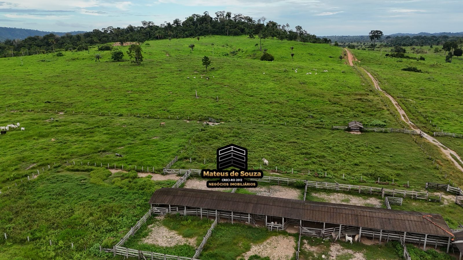 WhatsApp Image 2026-02-21 at 20.18.14 (2)